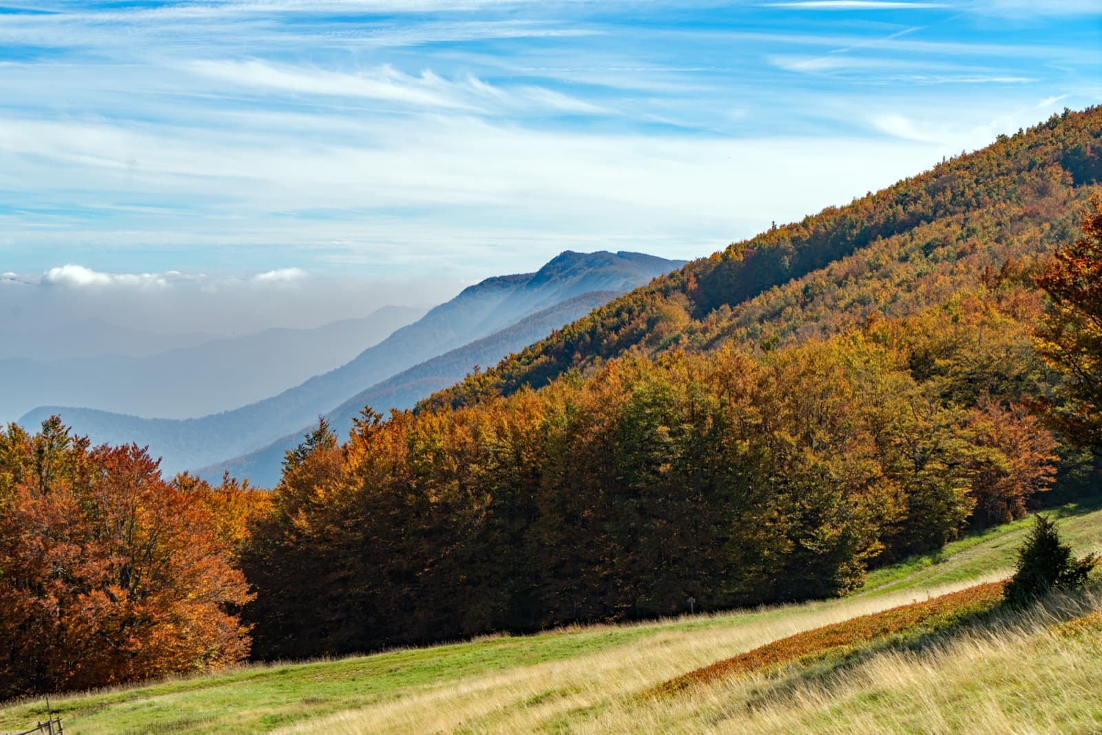 Foliage in Casentino — foto 5