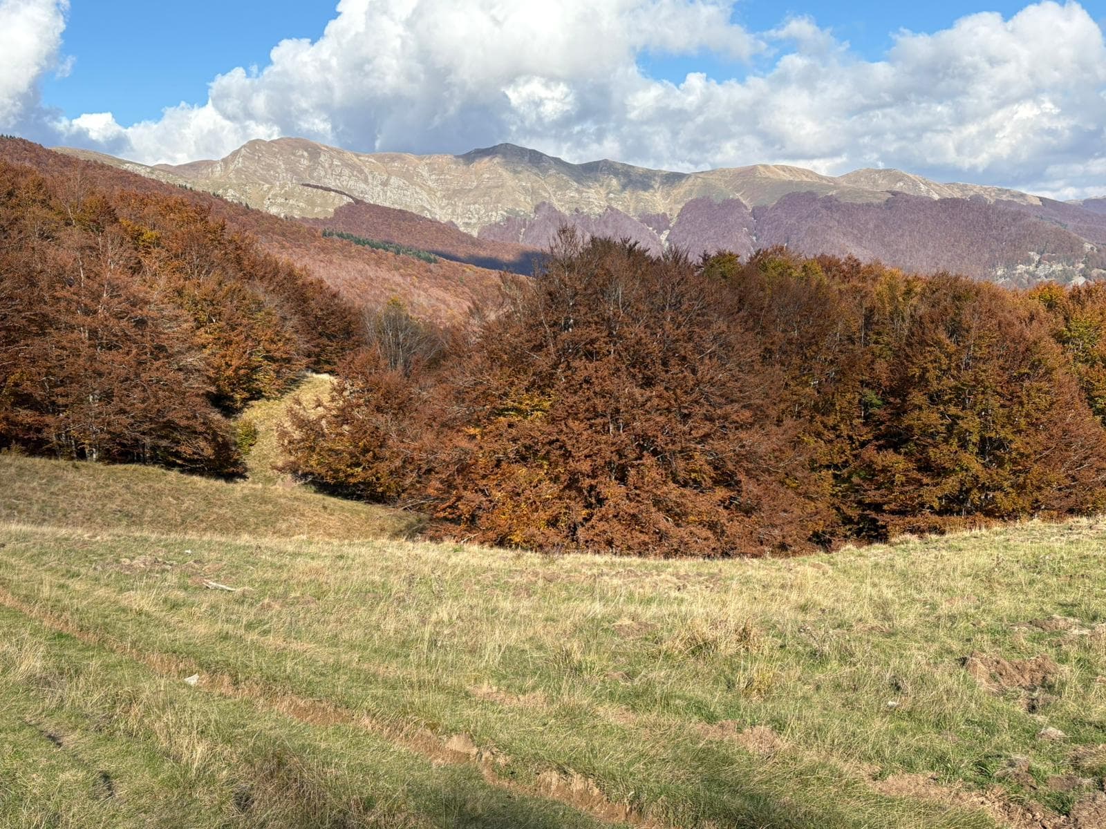 Pania di Corfino — foto 5