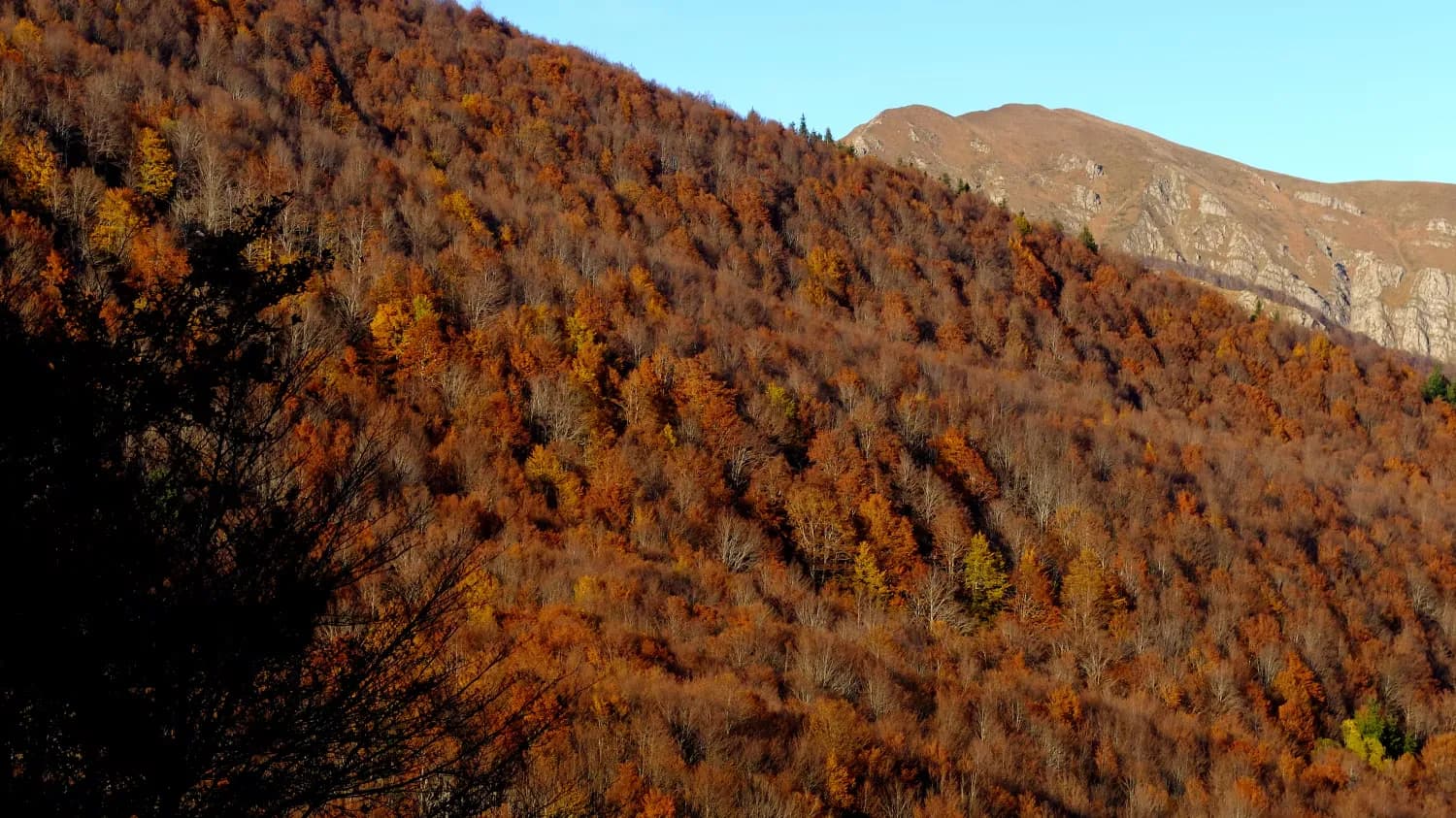 Pania di Corfino — foto 3