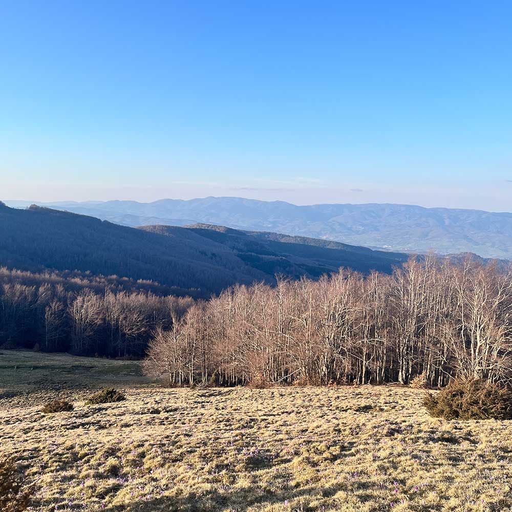 Alba sul Pratomagno — foto 3