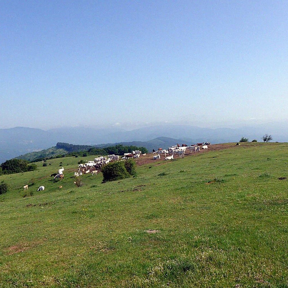 Due giorni in Apuane — foto 2