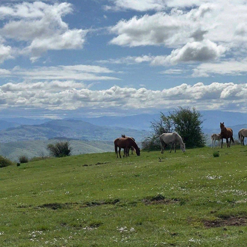 Due giorni in Apuane