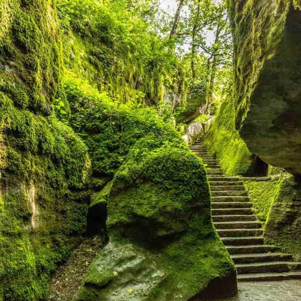 L'Eremo di Camaldoli